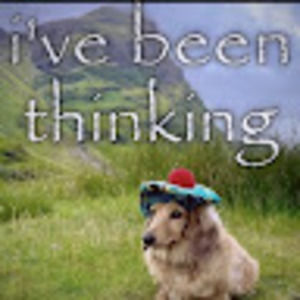 Meet your Posher, Joshua